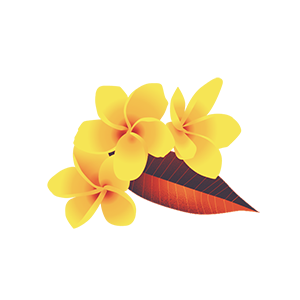 frangipani