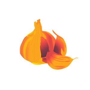 garlic